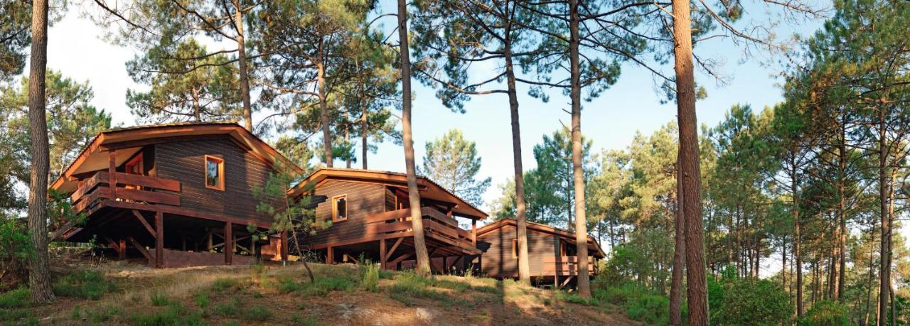 Residence Les Sentes Carcans Zewnętrze zdjęcie